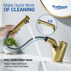 Bathroom Sink Faucet with Pull Down Sprayer, Brushed Gold,JK0430
