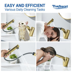 Bathroom Sink Faucet with Pull Down Sprayer, Brushed Gold,JK0430