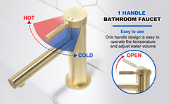 Single Handle Bathroom Sink Faucet,Single Hole Bathroom Faucet with Supply Hoses