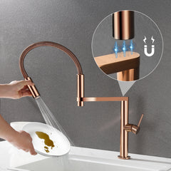 Magnetic Docking Kitchen Faucet with Pull Down Sprayer, Dual-Function Spray and 360 Degree Swivel, Commercial Spring Kitchen Faucet