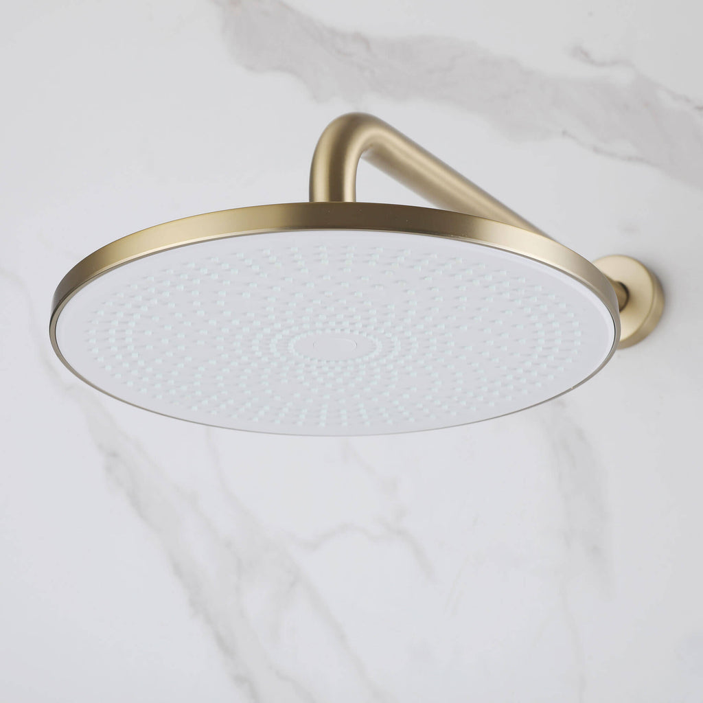 2-Functions Dual-Head Shower System with Thin Circular Rainfall Head