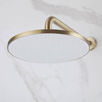 2-Functions Dual-Head Shower System with Thin Circular Rainfall Head