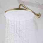 2-Functions Dual-Head Shower System with Thin Circular Rainfall Head