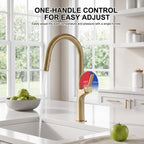 70.8 In High-Arc Brass Single-Hole Pull-Out Kitchen Faucet with Dual-Function Sprayer