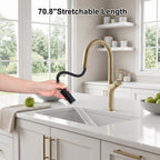 70.8 In High-Arc Brass Single-Hole Pull-Out Kitchen Faucet with Dual-Function Sprayer