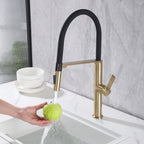 Dual-Mode Pull-Down Kitchen Faucet with Magnetic Spray Head