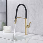 Dual-Mode Pull-Down Kitchen Faucet with Magnetic Spray Head