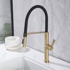 Dual-Mode Pull-Down Kitchen Faucet with Magnetic Spray Head