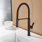 Dual-Mode Pull-Down Kitchen Faucet with Magnetic Spray Head