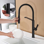 Dual-Mode Pull-Down Kitchen Faucet with Magnetic Spray Head