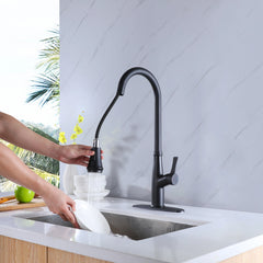 Matte Black Single Handle Pull-Down Kitchen Faucet With Deck Plate