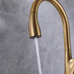 Single Hole Pull Down Kitchen Sink Faucet In Brushed Gold