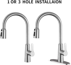 Kitchen Sink Faucet With Pull Out Sprayer In Brushed Nickel