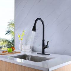 Matte Black Single Handle Pull-Down Kitchen Faucet With Deck Plate