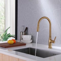 Single Hole Pull Down Kitchen Sink Faucet In Brushed Gold