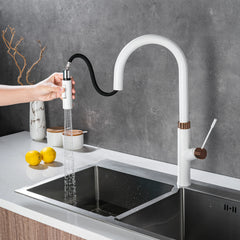 Single Hole Pull Down Kitchen Sink Faucet In White