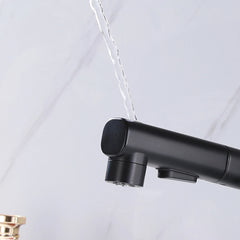 Matte Black Single Handle Sink Faucet With 3-Function Pull Out Sprayer