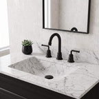 360° Swivel Gooseneck Widespread Bathroom Sink Faucet with Drain