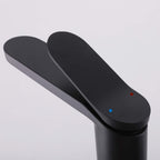 Tall Modern Minimalist Vessel Sink Faucet with Elongated Splash-Free Spout